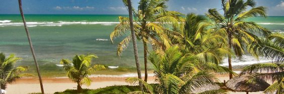 Strand vor dem Ferienhaus in Praia do Forte, Bahia