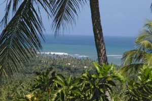 Strand bei Praia do Forte